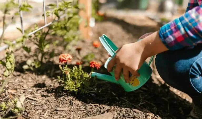 best fruit for container growing