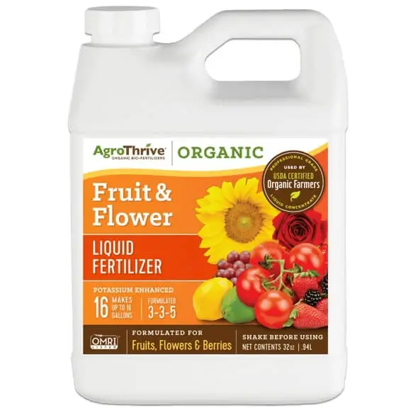 Best organic fertilizer for potted fruit trees