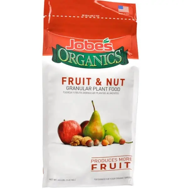 How Often to Fertilize Fruit Trees in Pots