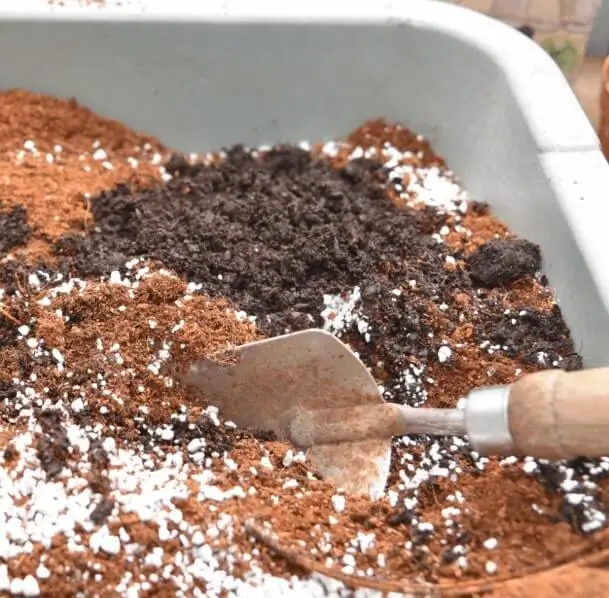 How to Make Homemade Soil Mix for Fruit Trees
