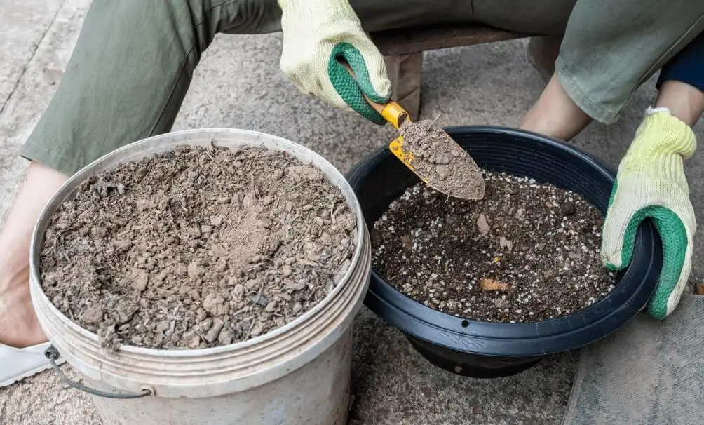 How to Make Homemade Soil Mix for Fruit Trees