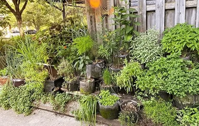 Lightweight Pots for Apartment Gardening