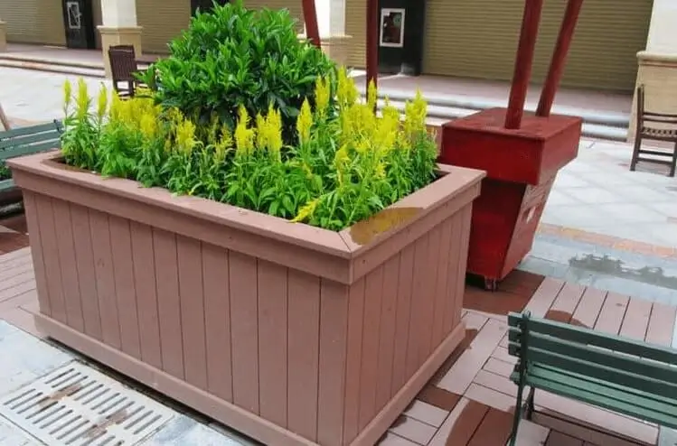 Lightweight Pots for Apartment Gardening