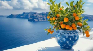 Why is my lemon tree not fruiting in a pot