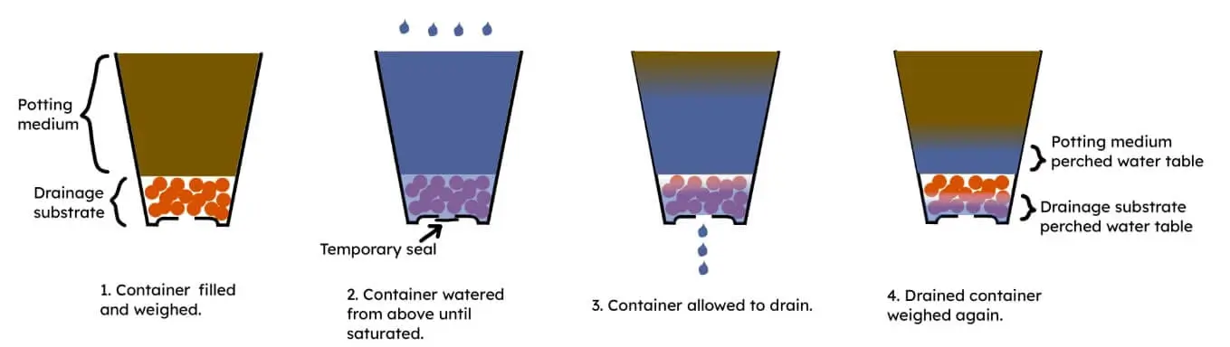 best containers for balcony fruit trees