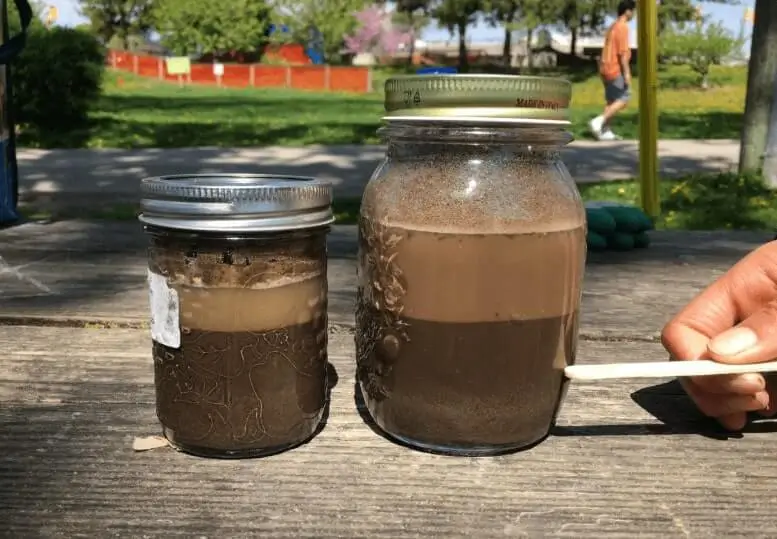 best way to water potted fruit trees
