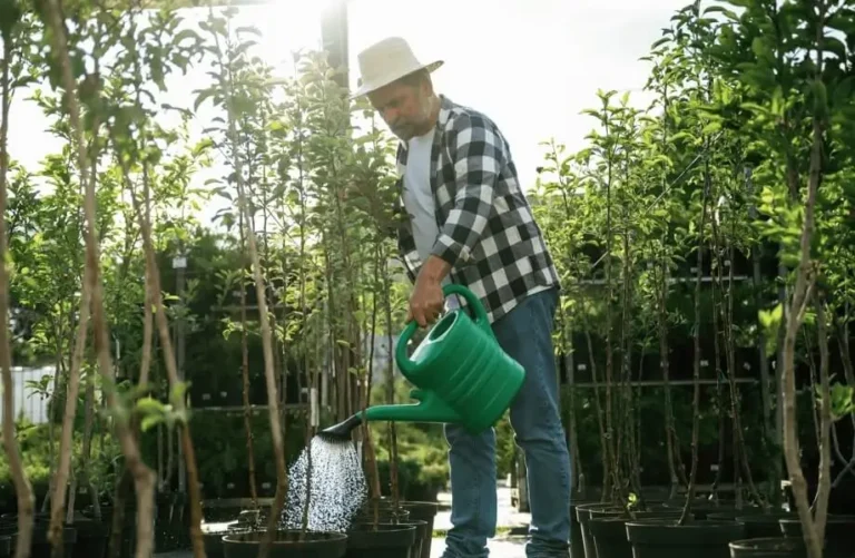 watering schedule for potted fruit trees