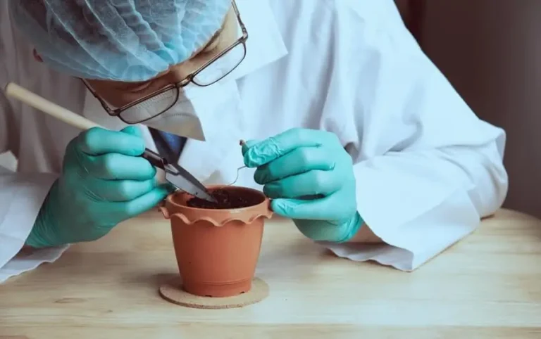 Bad Smell Coming From Potting Soil