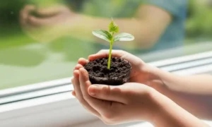 Best Soil for Citrus Trees in Pots