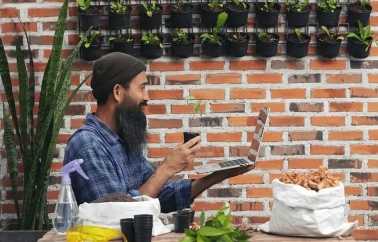 Common Beginner Questions About Container Fruit Gardening