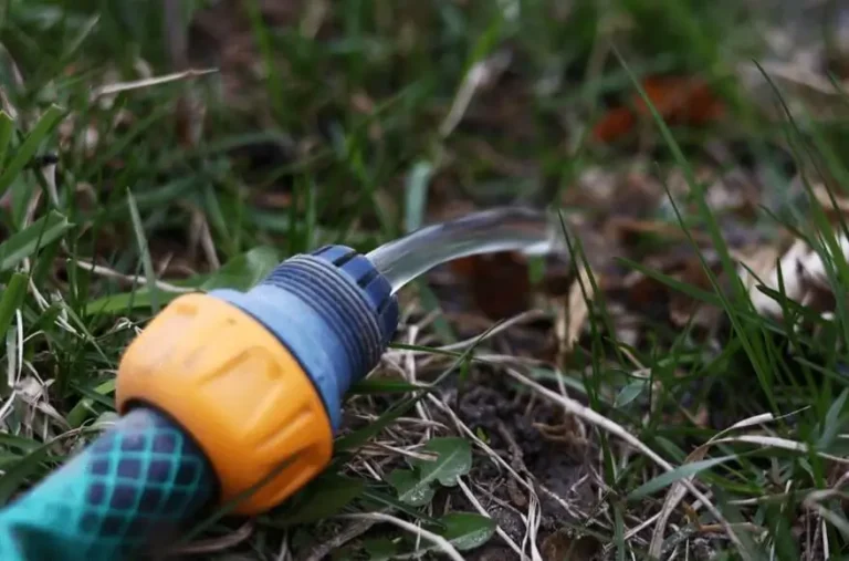 Common Watering Mistakes