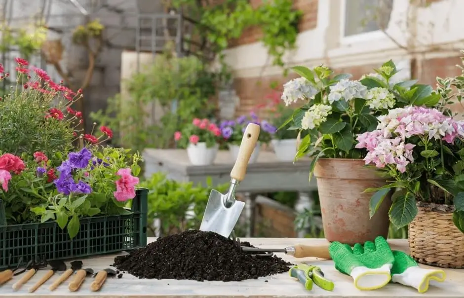 Container Fruit Gardening Tools You Need