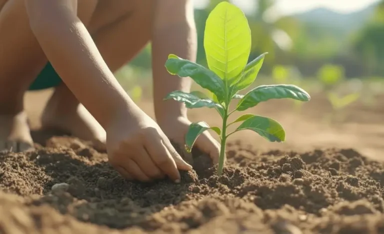 Container Fruit Gardening Year-Round