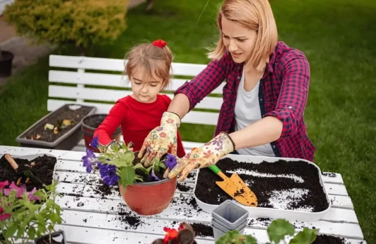 Container Fruit Gardening for Families