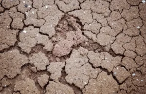 Crusting soil surface problems