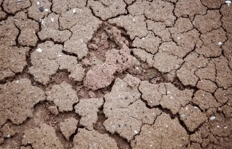 Crusting soil surface problems