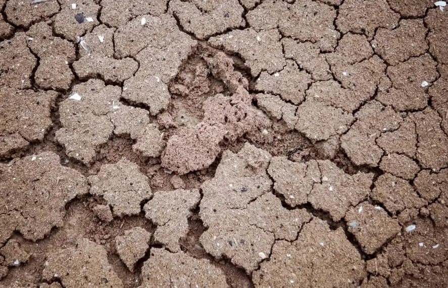 Crusting soil surface problems