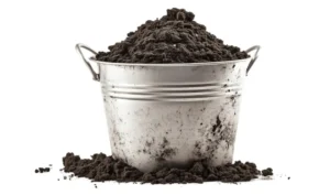 Excessive Salts in Container Soil