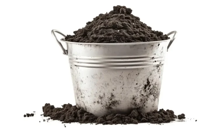 Excessive Salts in Container Soil