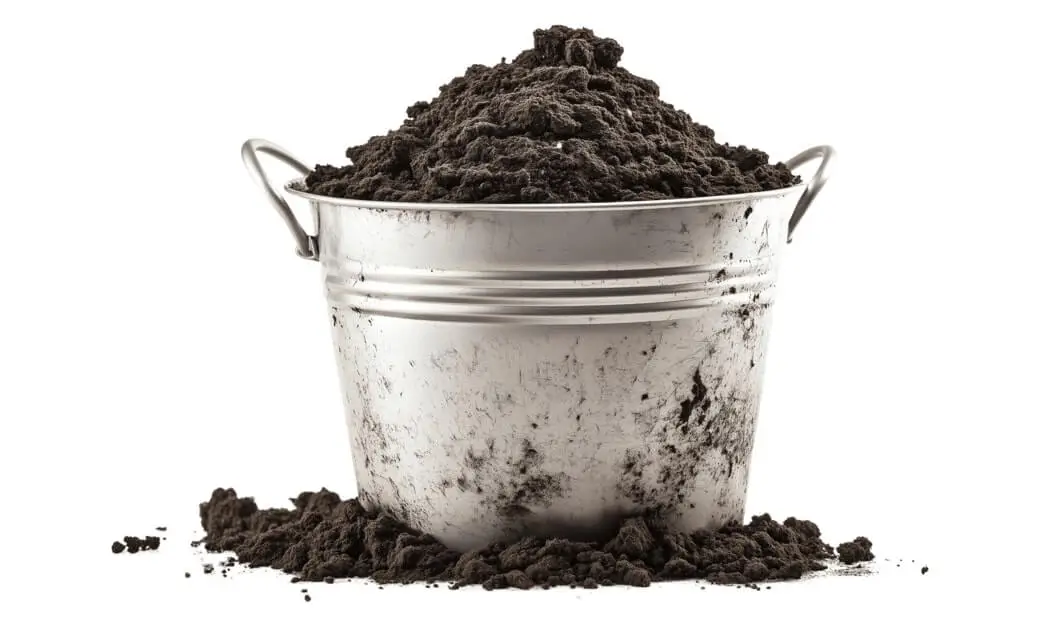 Excessive Salts in Container Soil