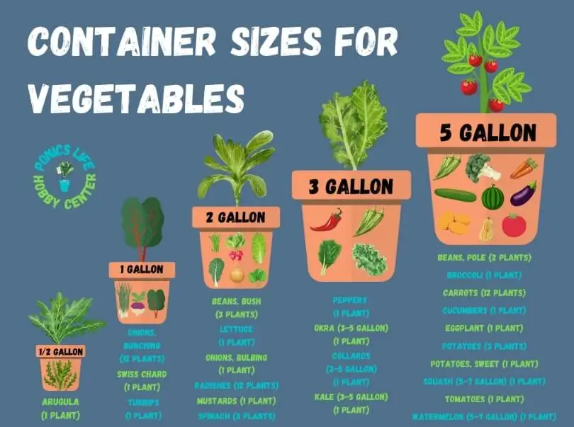 How Deep Should Containers Be
