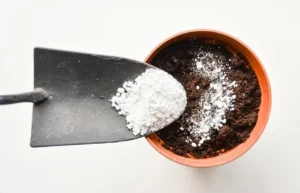 How to Prevent Salt Buildup