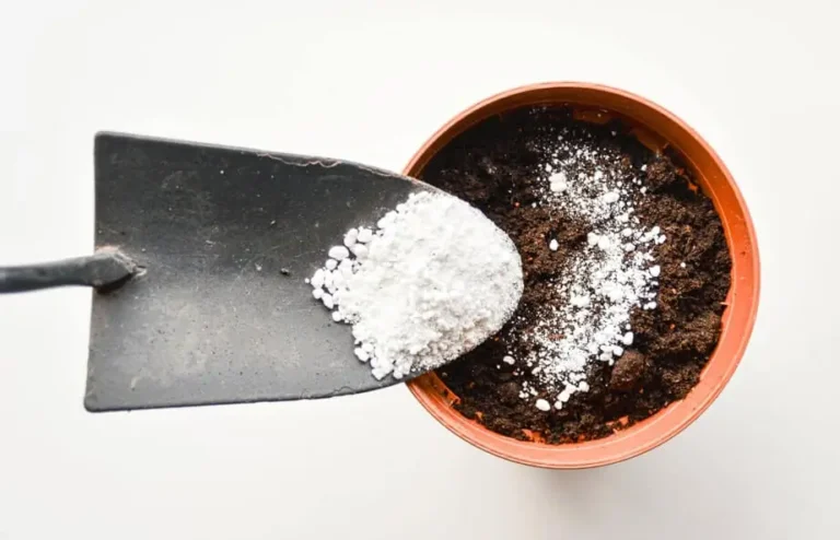 How to Prevent Salt Buildup
