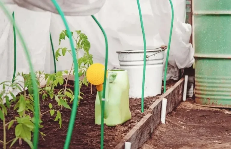 How to Protect Containers From Cold