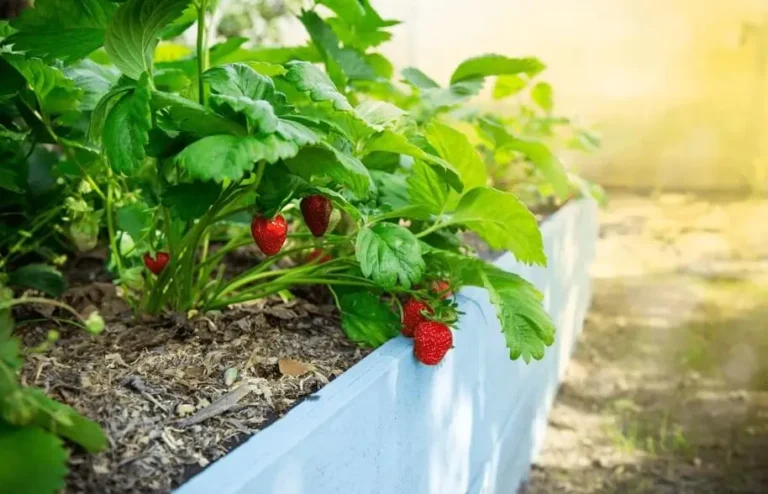 How to Protect Containers From Heat