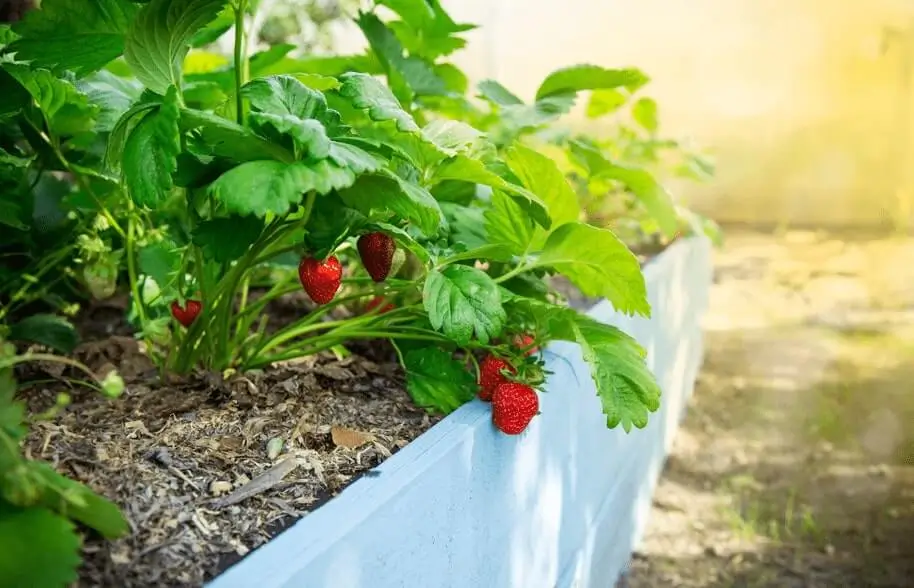 How to Protect Containers From Heat