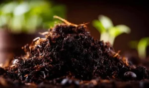 How to Refresh Depleted Potting Soil