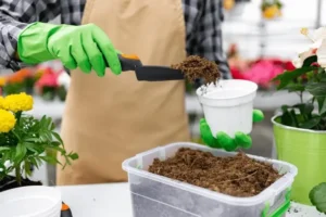 How to Sterilize Potting Soil