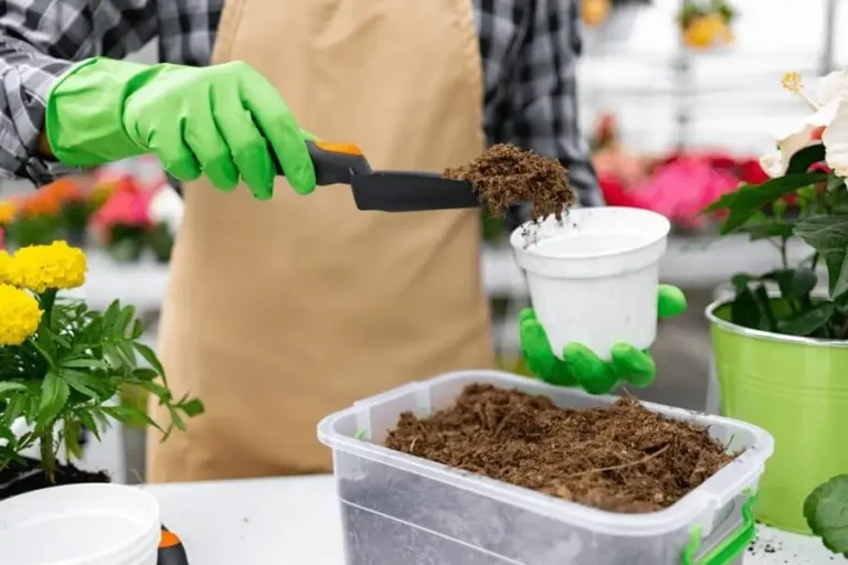 How to Sterilize Potting Soil