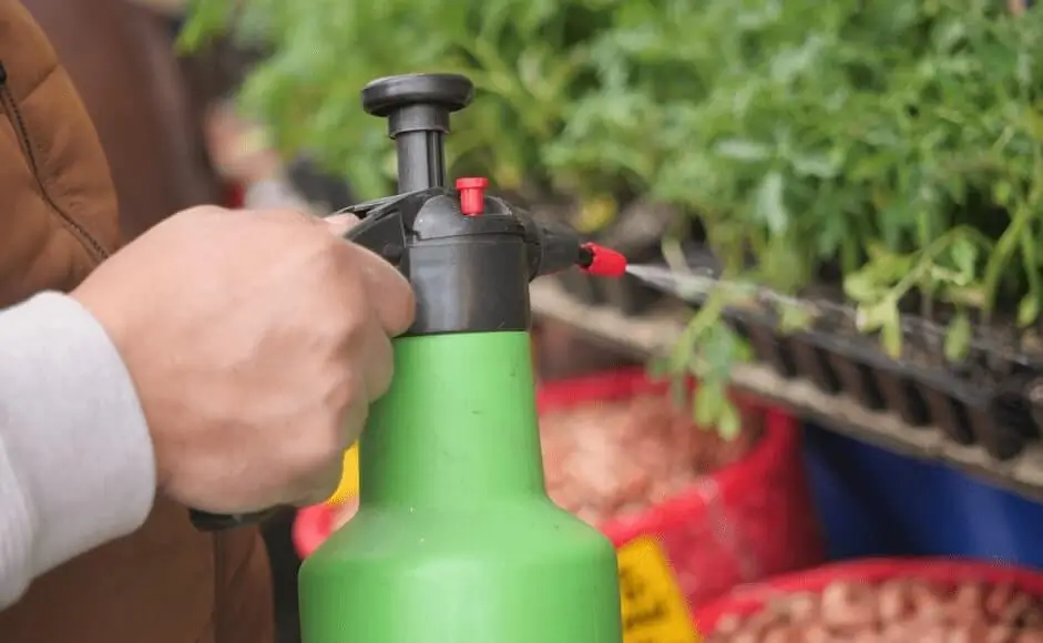 Overusing Pesticides in Containers