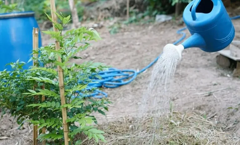 Uneven Watering in Large Containers