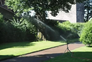 Watering Fruit Trees During Heatwaves