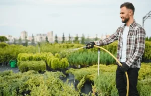 Watering Fruit Trees in Hot Weather