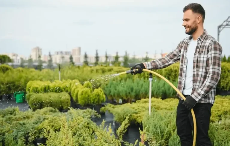 Watering Fruit Trees in Hot Weather