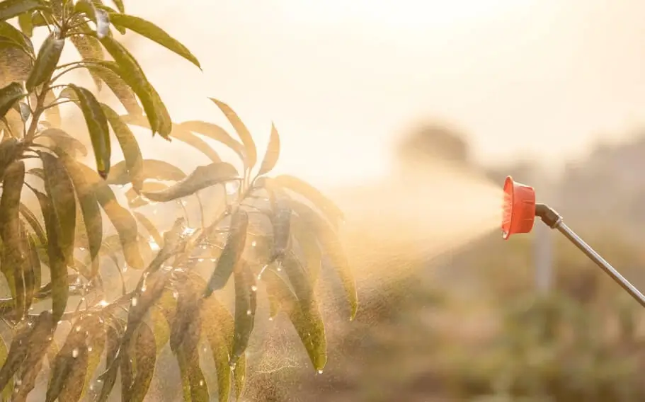 Watering fruit trees in summer