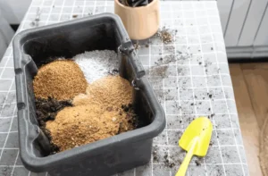 fix dry soil in containers