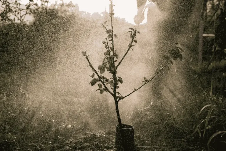 fruit-trees-hard-water-guide