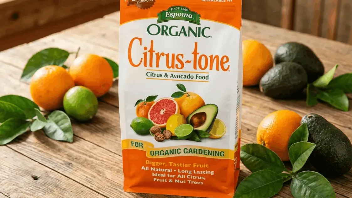 Best fertilizer for potted fruit trees