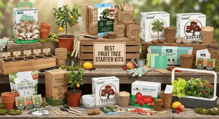 best fruit tree starter kits
