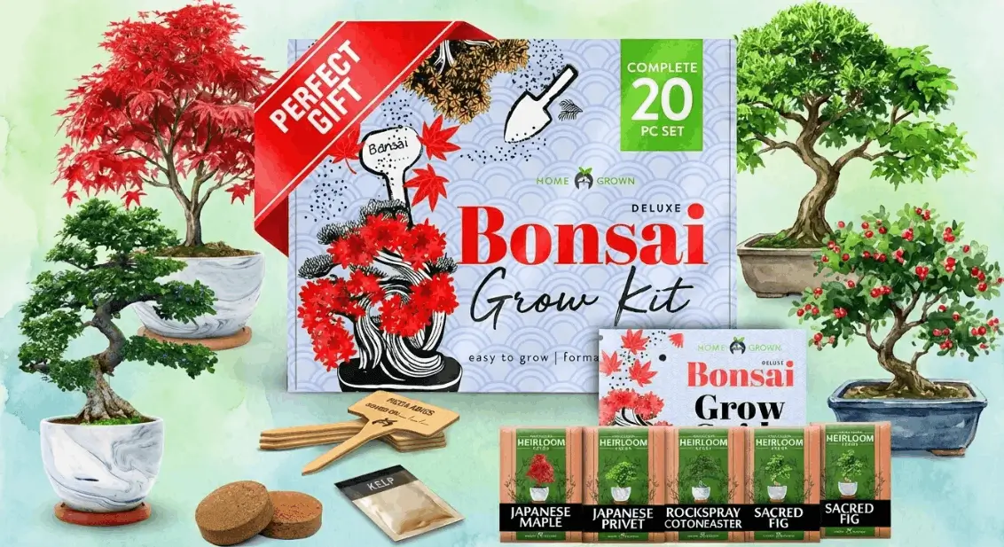 best fruit tree starter kits