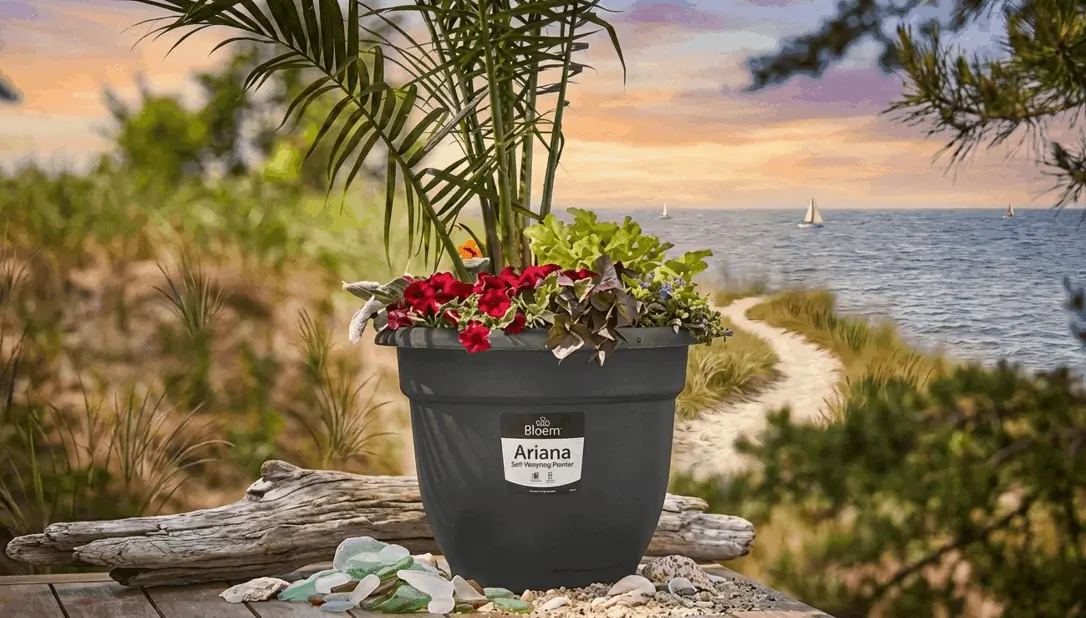Best Pots for Fruit Trees
