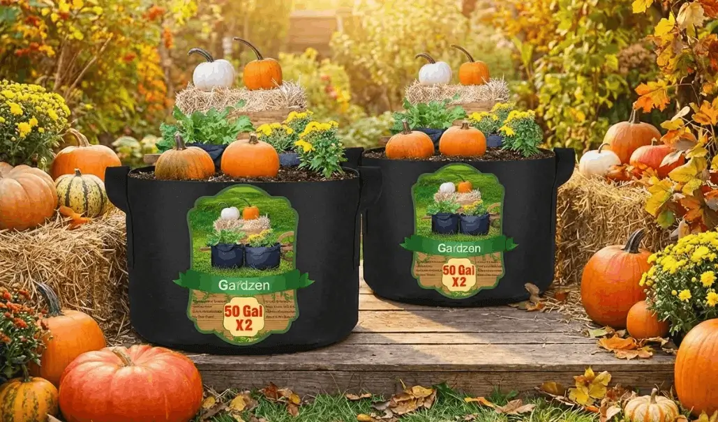 Best containers for balcony fruit gardening