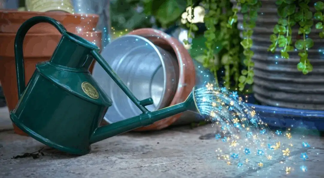 Best watering cans for balcony gardening