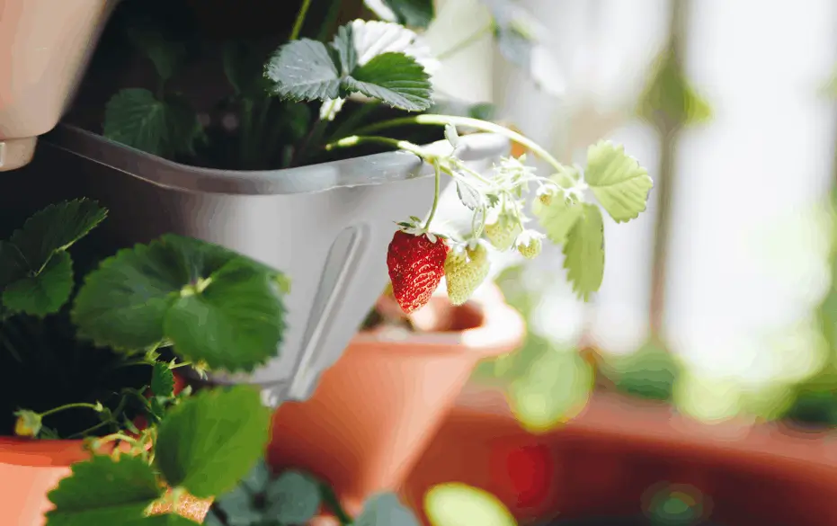 Use Stackable Planters