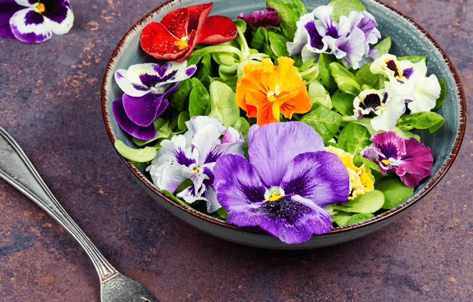 Plant Edible Flowers
