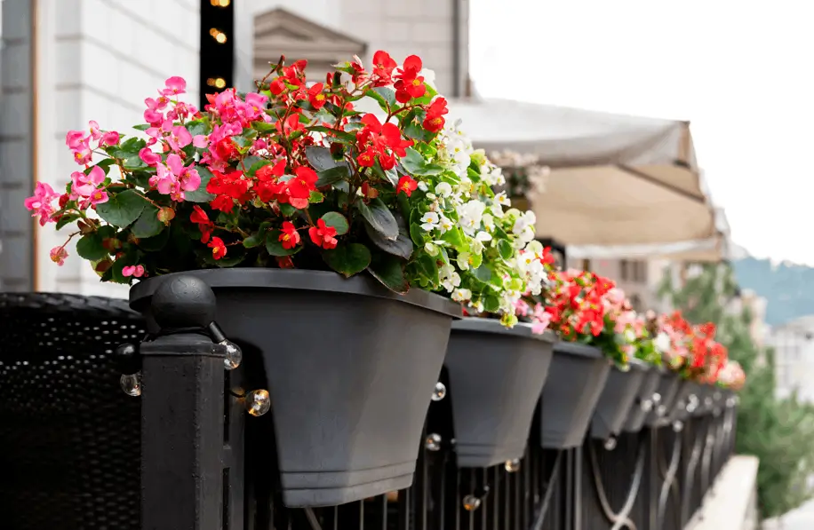 Use Balcony Rail Planters